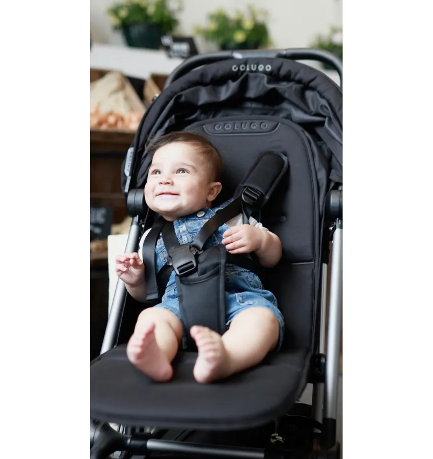 The On the Go Bundle, Dune Zebra